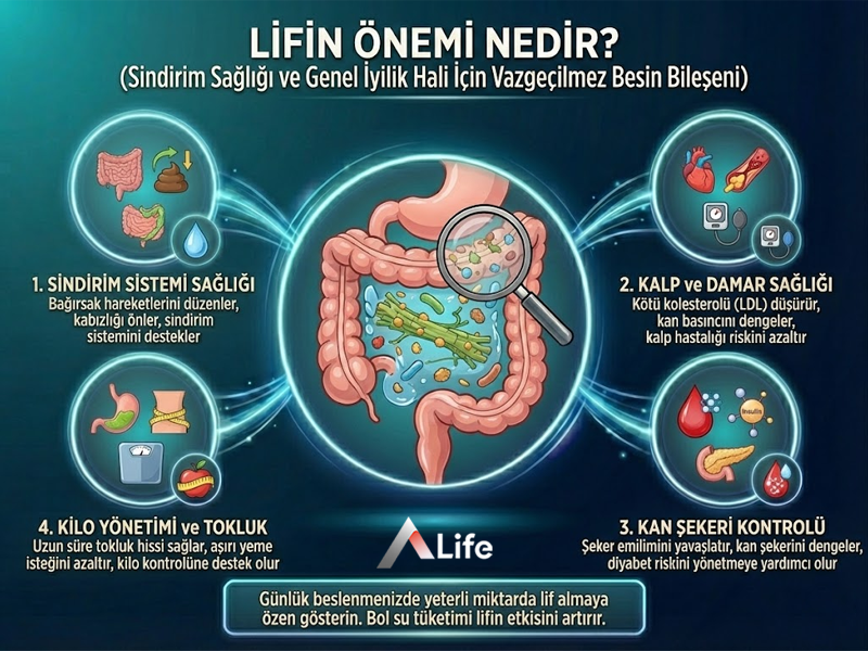 Lifin Önemi Nedir ?
