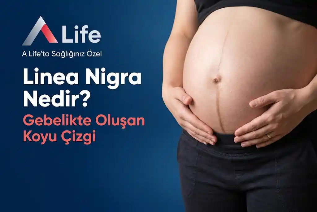 linea-nigra-gebelik-cizgisi-nedir-a-life-ankara_8fe6a985.webp
