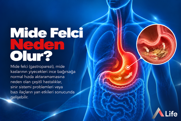 mide-felci-neden-olur_b51f9702.webp