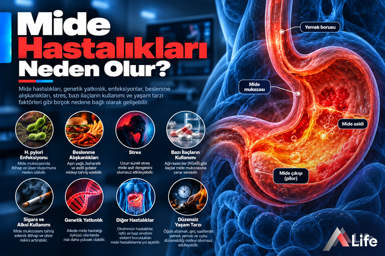 mide-hastaliklari-neden-olur_59fa3698.webp