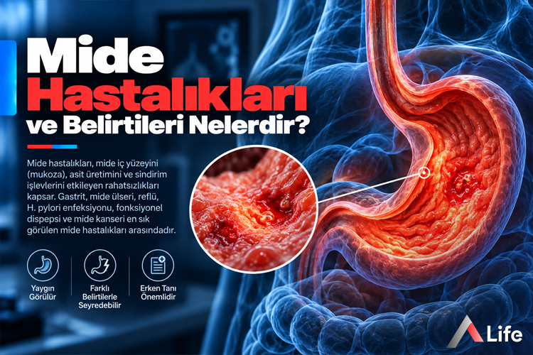 mide-hastaliklari-ve-belirtileri-nelerdir_8d48b392.webp