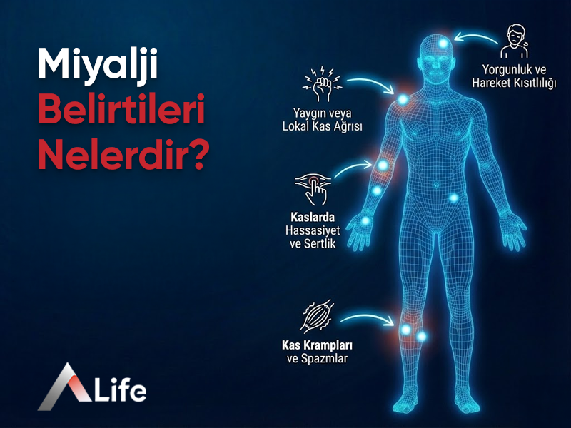 Miyalji Belirtileri Nelerdir?