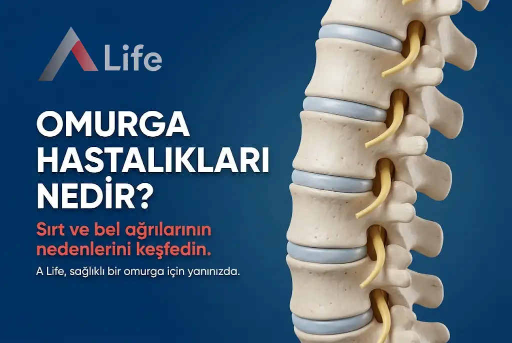 Omurga Hastalıkları Nedir ?