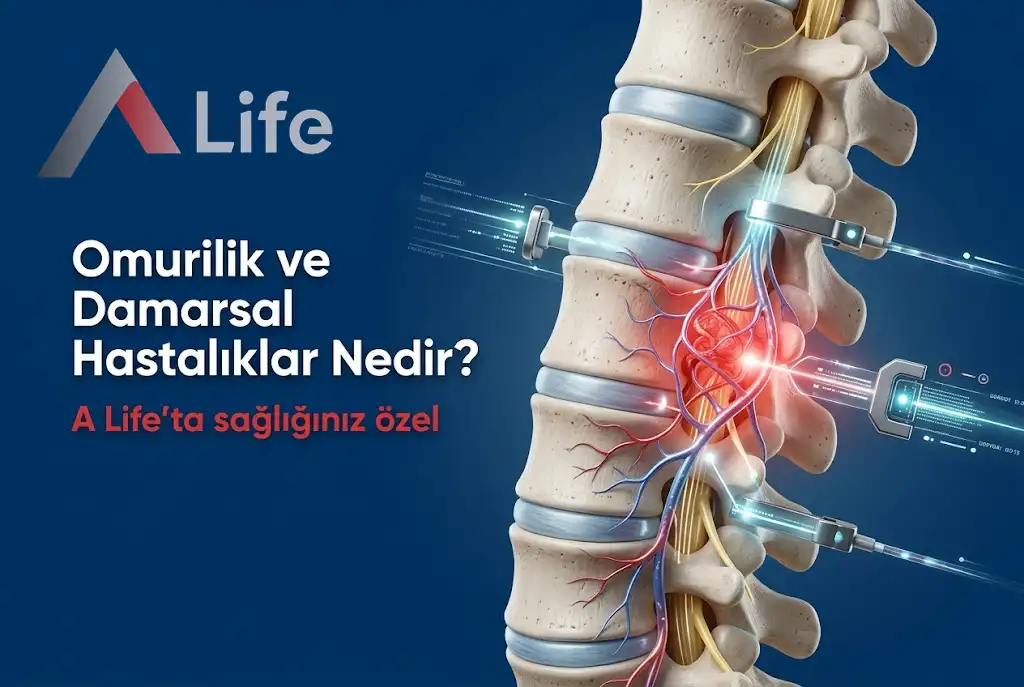 Omurilik ve Damarsal Hastalıklar Nedir ?