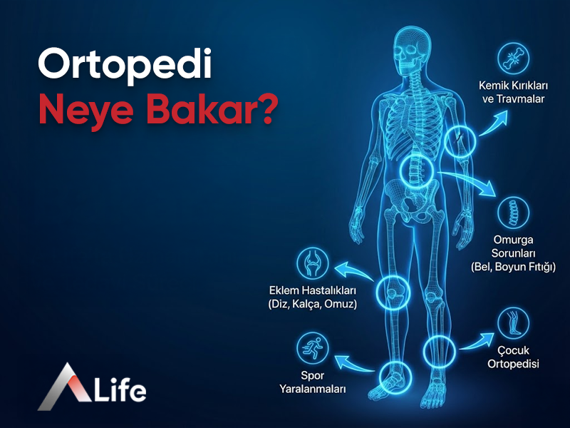 Ortopedi Neye Bakar?