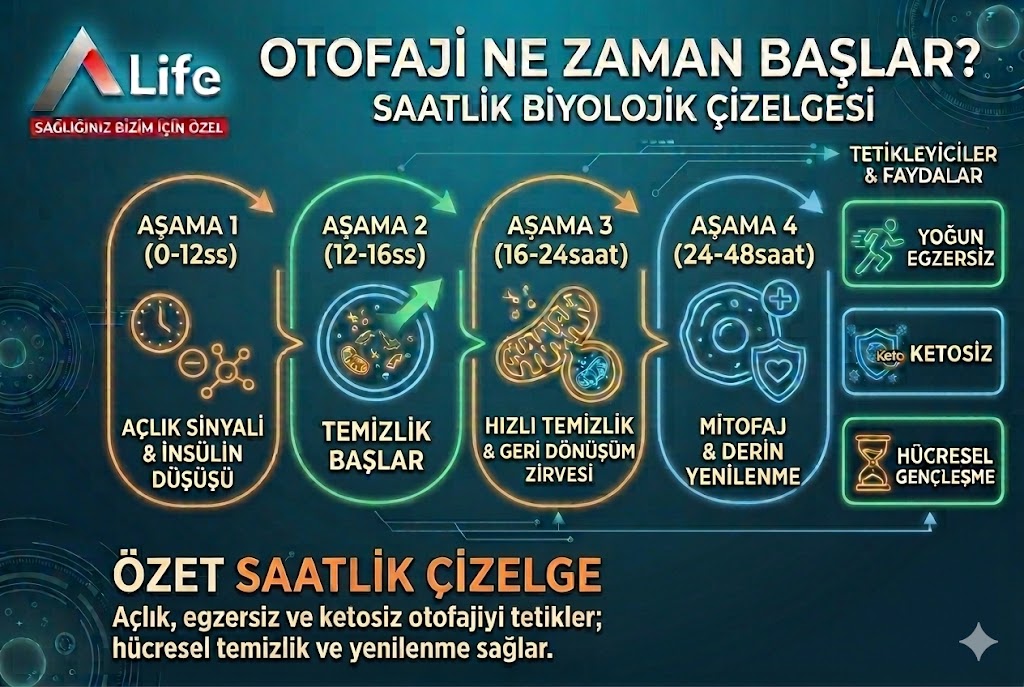 otofaji-ne-zaman-baslar-a-life-ankara_c29e1679.jpg
