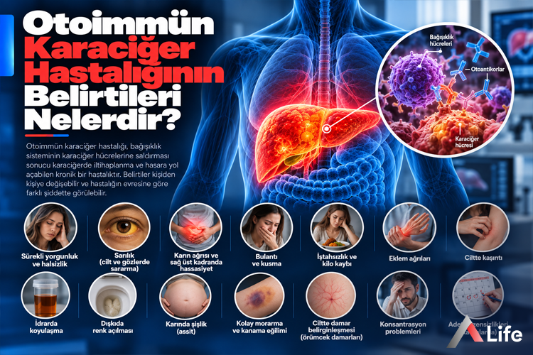 otoimmun-karaciger-hastaliginin-belirtileri-nelerdir_7f13d8ec.webp