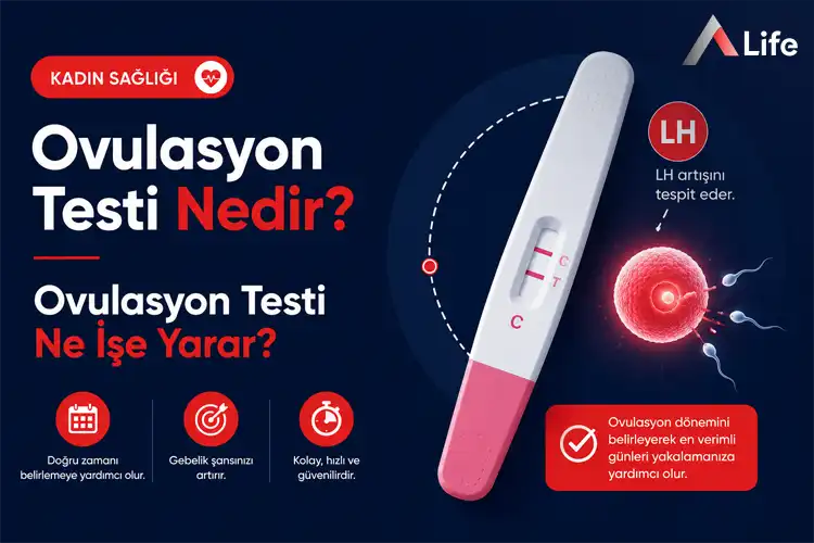 ovulasyon-testi-nedir_e8369350.webp