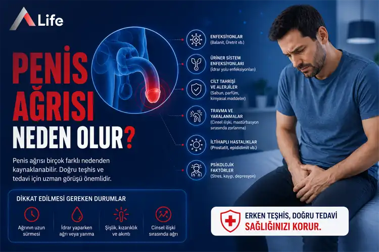 penis-agrisi-neden-olur_cea95e3d.webp