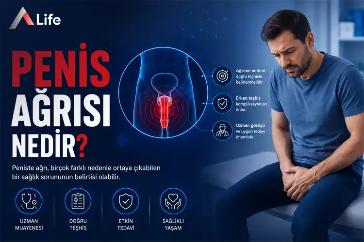 penis-agrisi-nedir_1ff3a655.webp