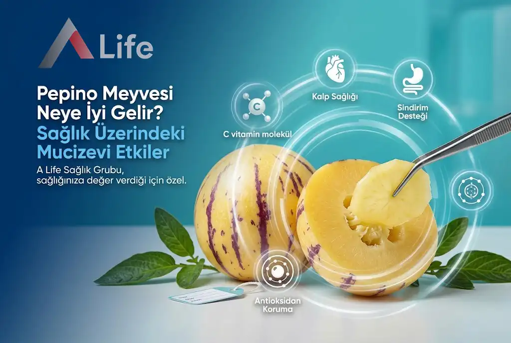 pepino-meyvesi-neye-iyi-gelir-a-life-ankara_1381eefc.webp
