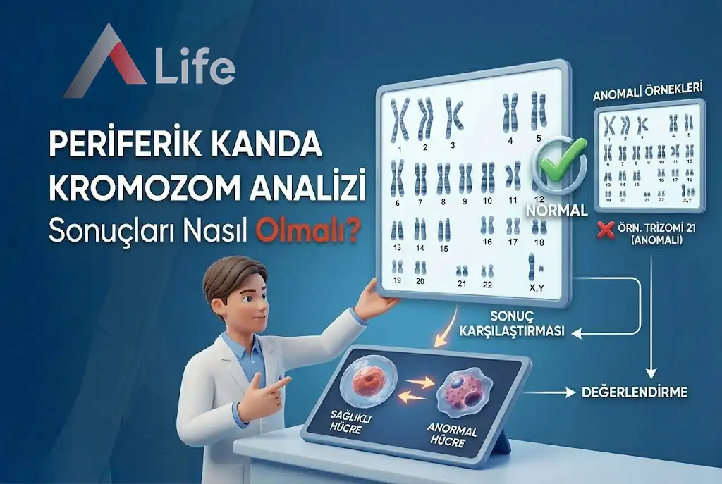 periferik-kanda-kromozom-analizi-sonuclari-nasil-olmali-a-life-ankara_26d7f105.webp