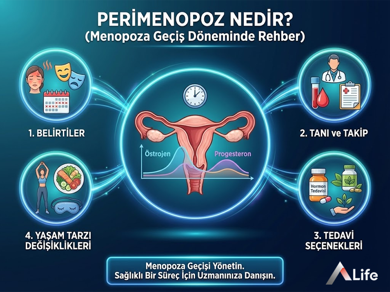 Perimenopoz