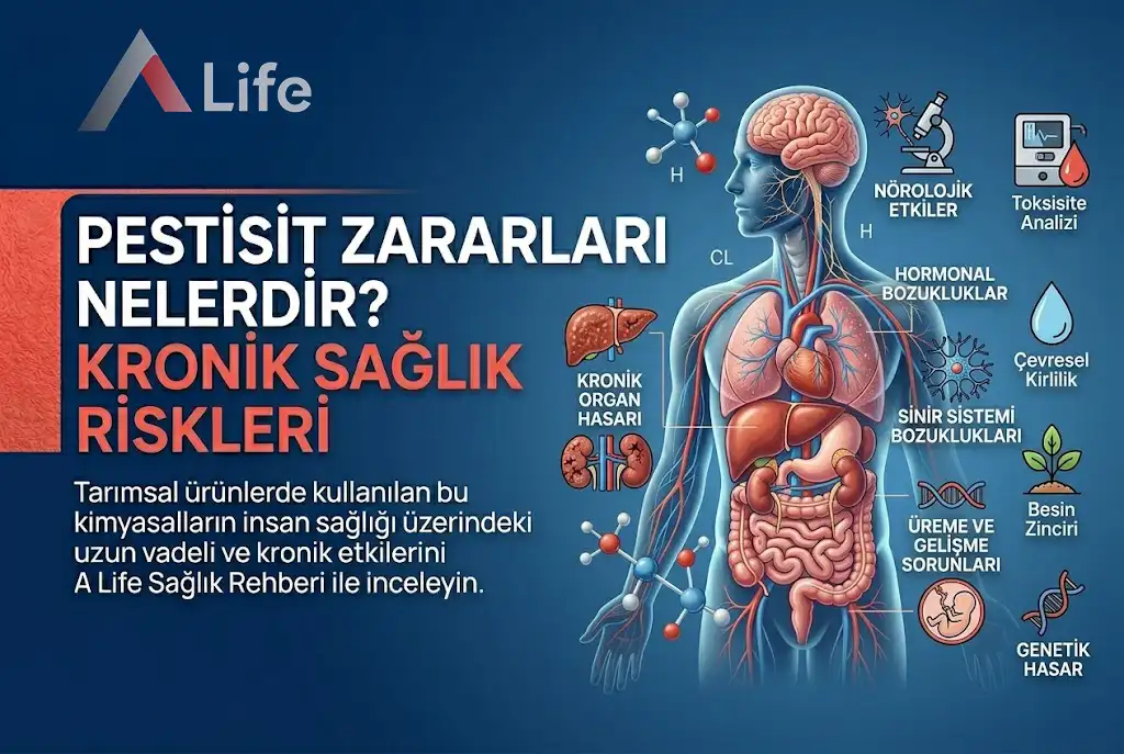 pestisit-zararlari-nelerdir-a-life-ankara_83266e3f.webp