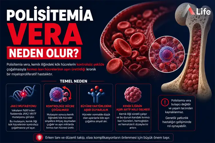 polisitemia-vera-neden-olur_8967aa40.webp