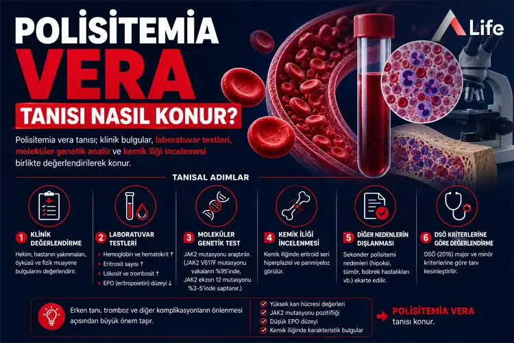 polisitemia-vera-tanisi-nasil-konur_6626655e.webp