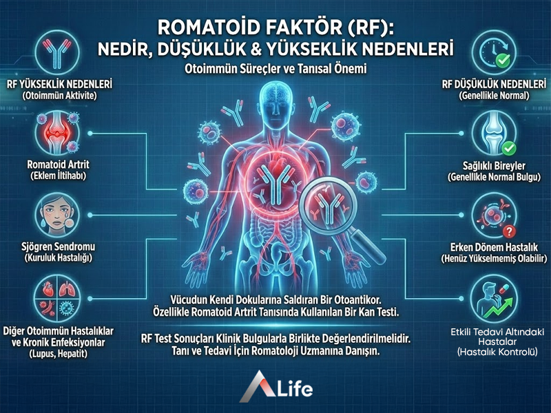 Romatoid Faktör: Nedir, Düşüklük & Yükseklik Nedenleri