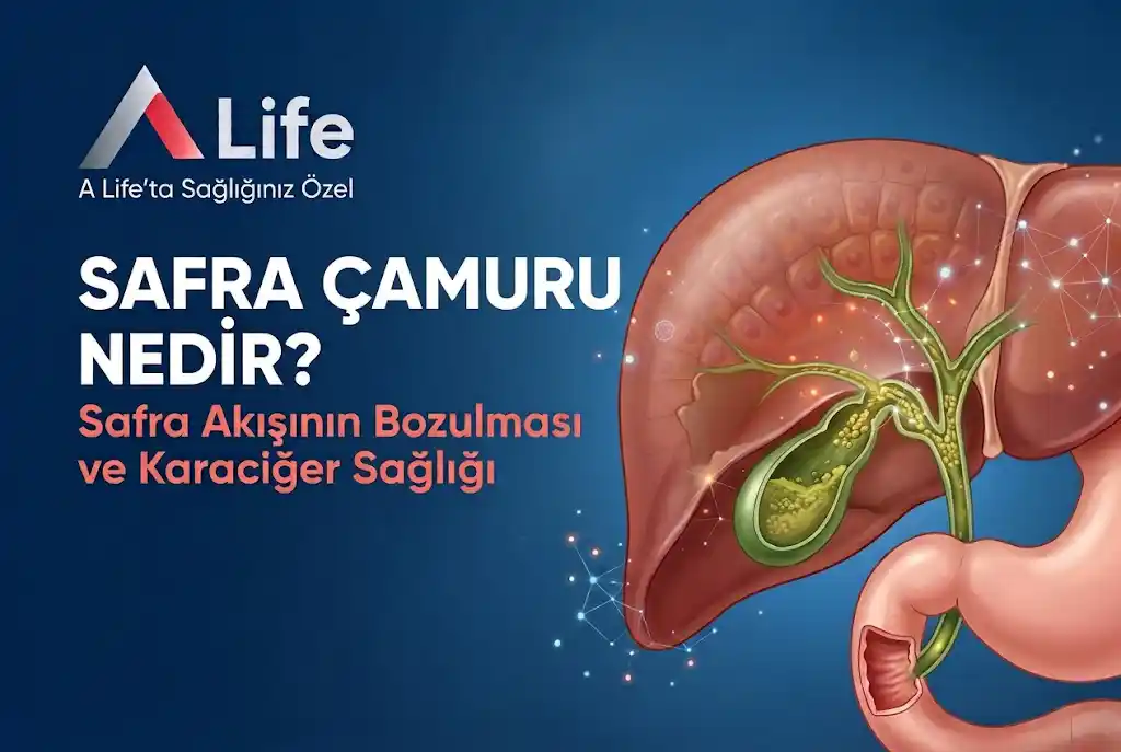 safra-camuru-nedir-a-life-ankara_ddc9e0c7.webp