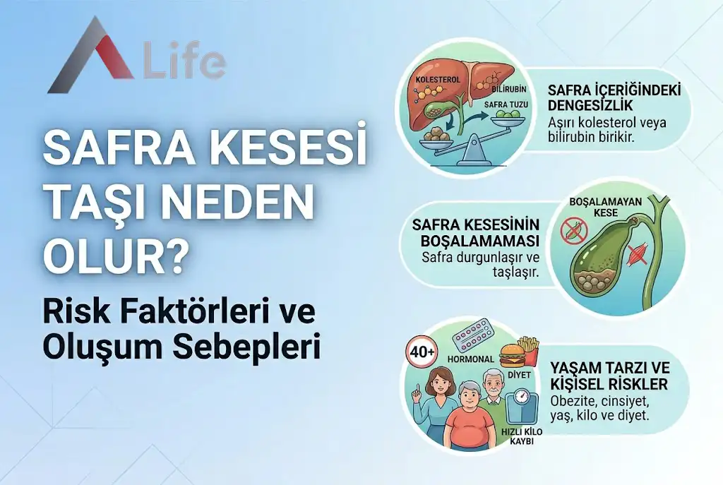 safra-kesesi-tasi-neden-olur-a-life-ankara_9891c237.webp