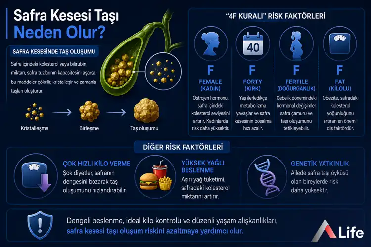 safra-kesesi-tasi-neden-olur_016bbab9.webp
