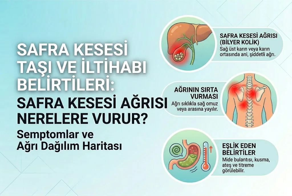 safra-kesesi-tasi-ve-iltihabi-belirtileri-a-life-ankara_bec0e1df.webp