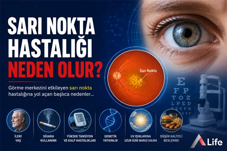 sari-nokta-hastaligi-neden-olur_0c6924fe.webp