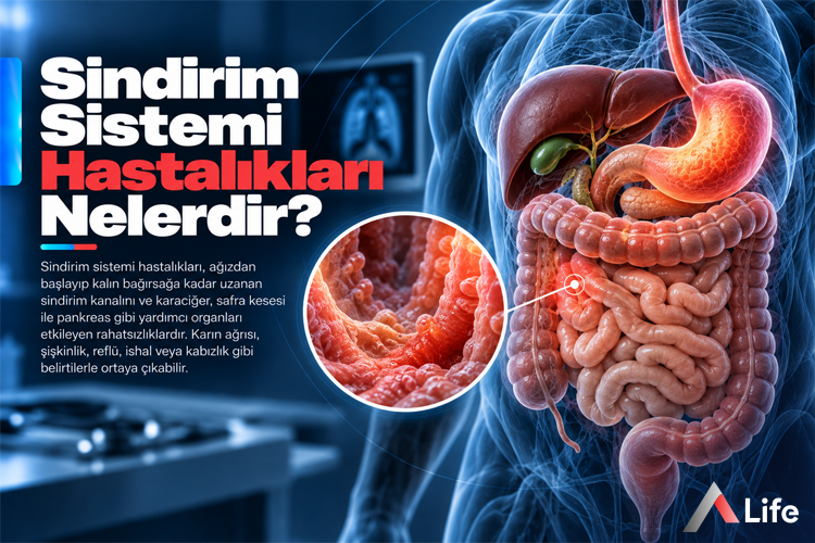 sindirim-sistemi-hastaliklari-nelerdir_d6428c42.webp