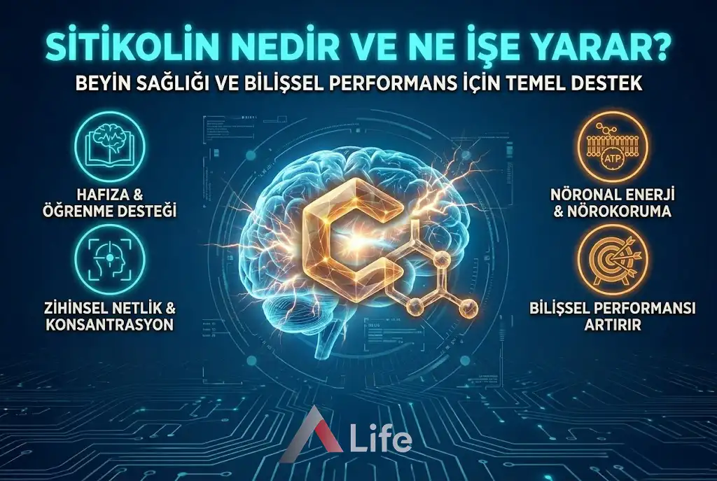 Sitikolin Nedir ve Ne İşe Yarar?
