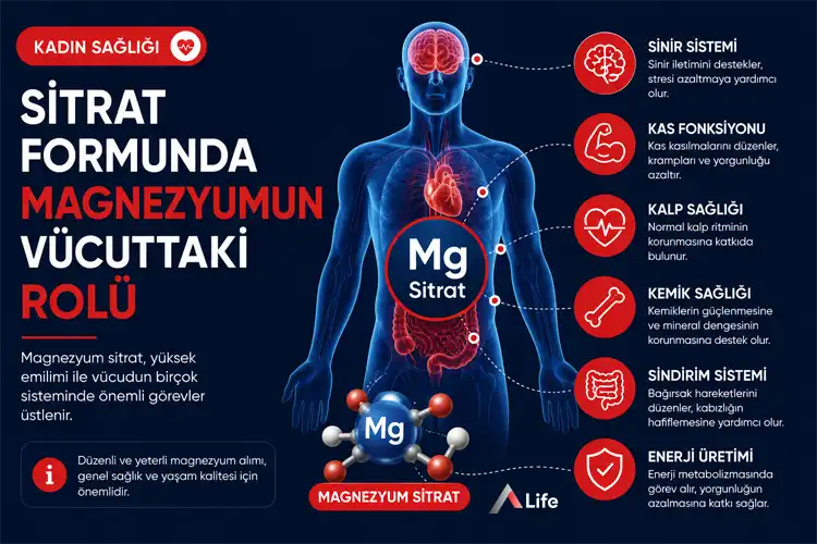 sitrat-formunda-magnezyumun-vucuttaki-rolu_8030ed71.webp
