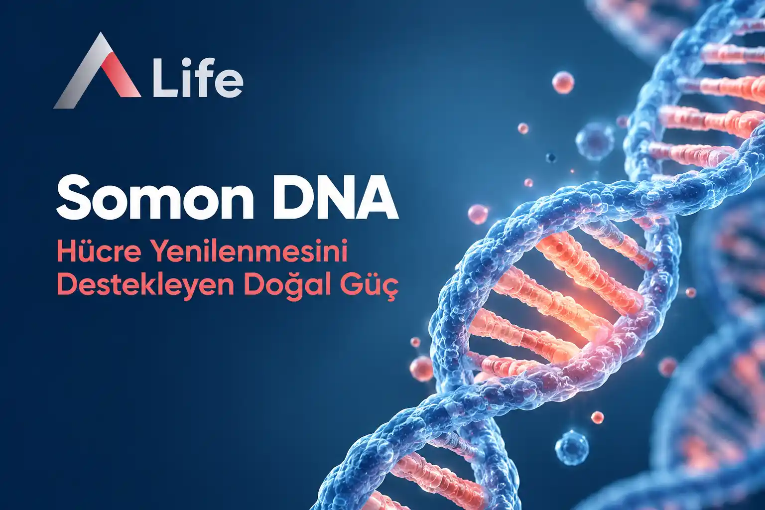 somon-dna-nedir-a-life-ankara_97baa59c.webp