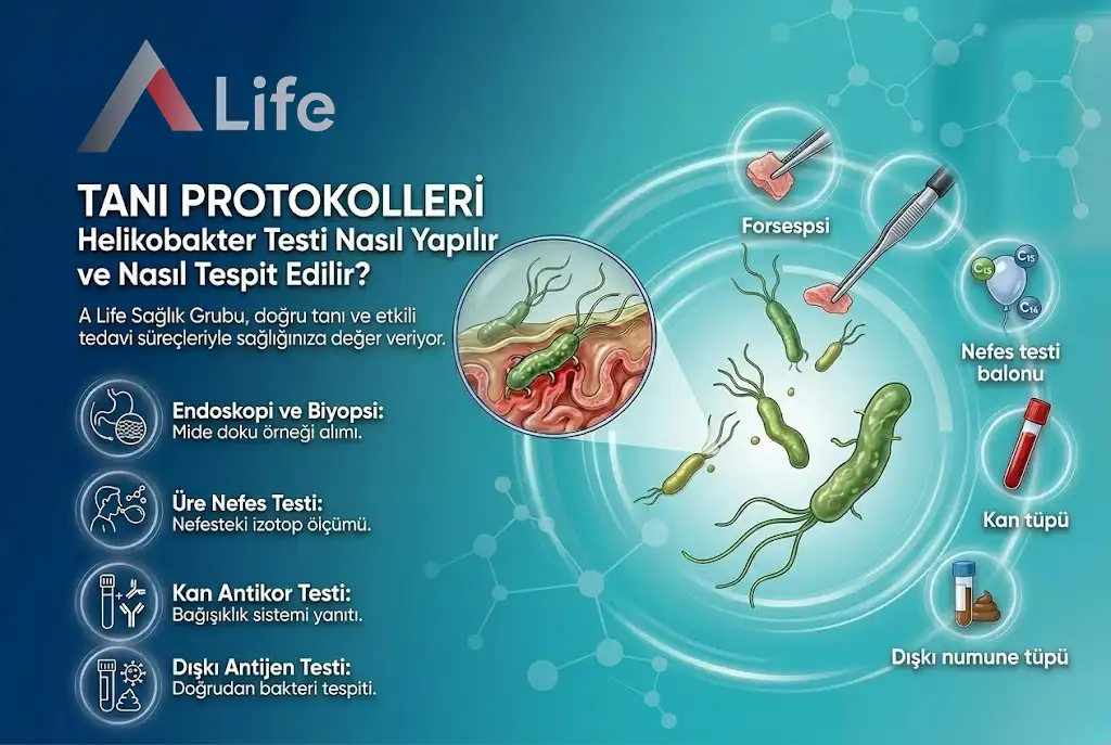 tani-protokolleri-helikobakter-testi-nasil-yapilir-ve-nasil-tespit-edilir-a-life-ankara_91ad7576.webp
