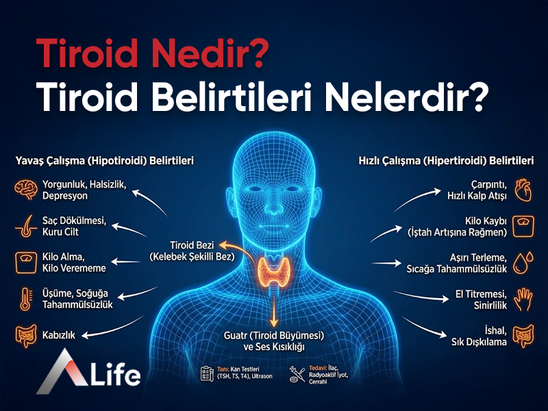 Tiroid Nedir? Tiroid Belirtileri Nelerdir?