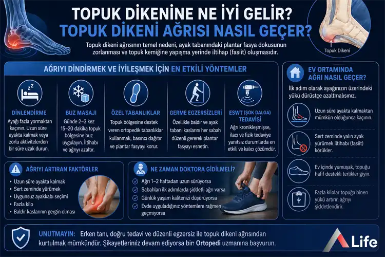 topuk-dikenine-ne-iyi-gelir_4f97154d.webp