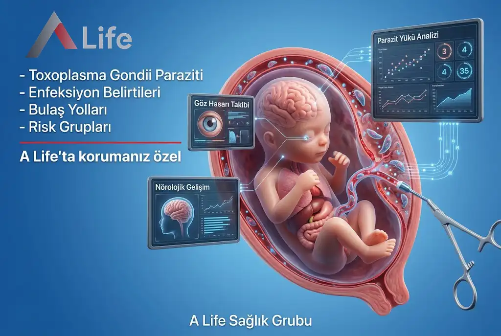 toxoplasma-belirtileri-ve-risk-alt__ndaki-gruplar-a-life-ankara_977fbdde.webp
