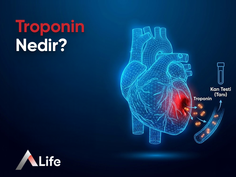 Troponin Nedir ve Neden Önemlidir?