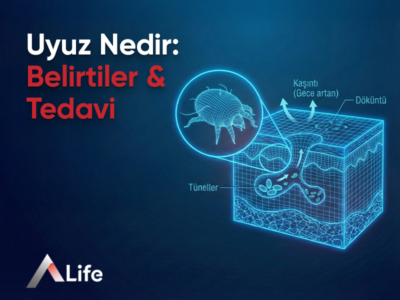 Uyuz Nedir: Belirtiler & Tedavi