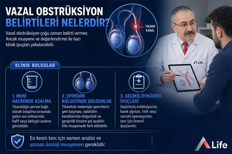 vazal-obstruksiyon-belirtileri-nelerdir_3fd9c12d.webp