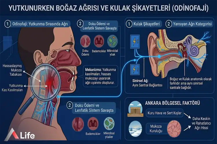 yutkunurken-bogaz-agrisi-ve-kulak-sikayetleri_fba31ddd.webp