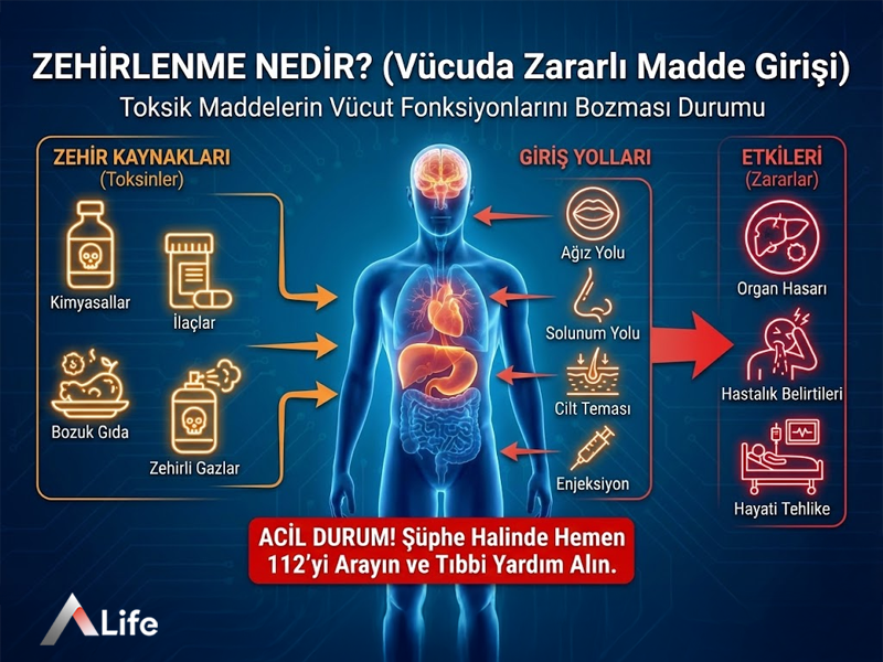 Zehirlenme Nedir?